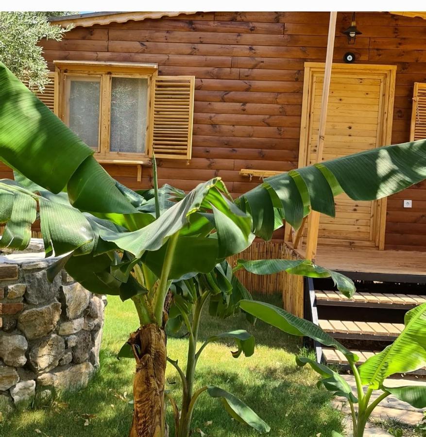 Derin Tas-Bungalow Datça Exterior foto